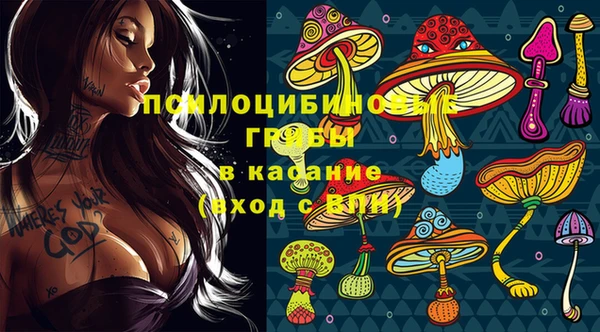 винт Белокуриха