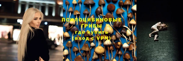 винт Белокуриха
