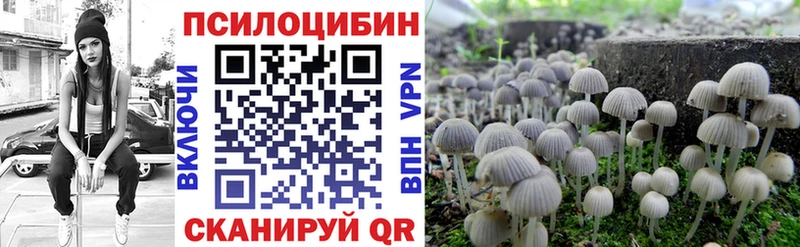 гидра маркетплейс  Олёкминск  Псилоцибиновые грибы MAGIC MUSHROOMS 